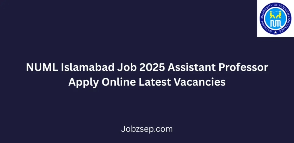 NUML Islamabad Job 2025 Assistant Professor Apply Online Latest Vacancies